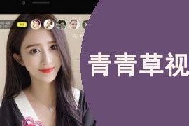 青青草国产视,探寻本土文化的光影魅力