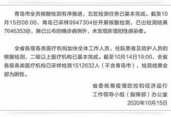 手机看片1024国产,揭秘手机观影新潮流