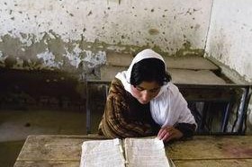 国产欧美非洲免费视频,欧美非洲免费视频大揭秘