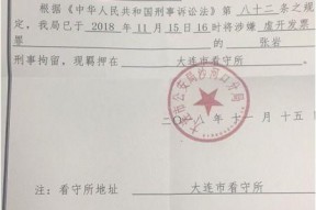 浮力影院国产限制,探索限制与创新的边界